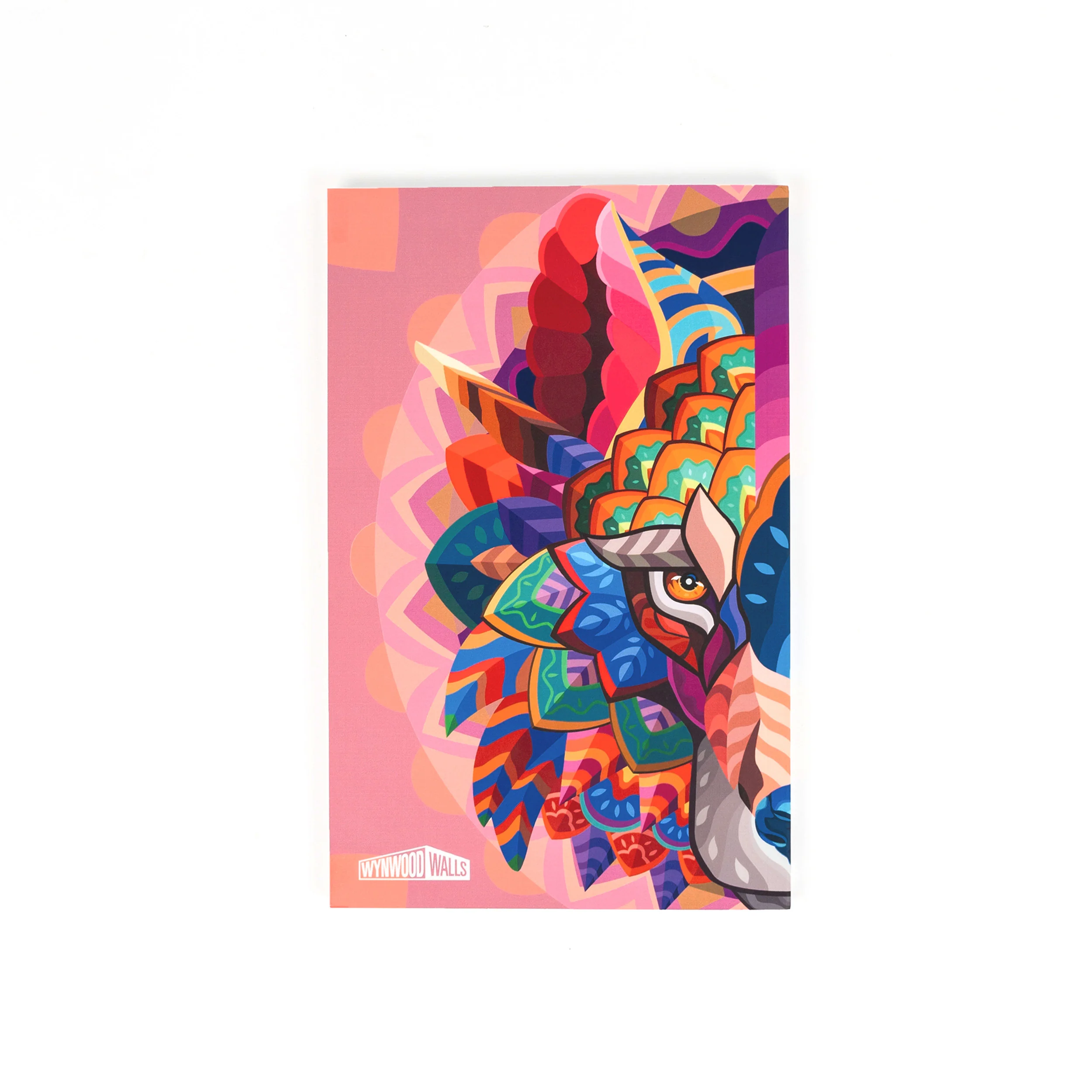 Thumbnail 7
